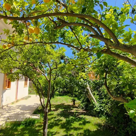 Sofia Apartman *